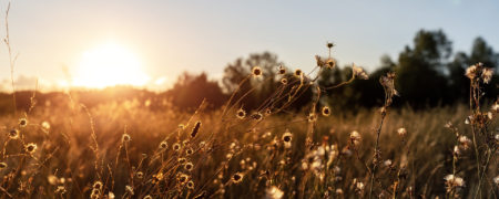 Adobe Stock 393086572